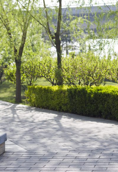 Footpath leading through a park